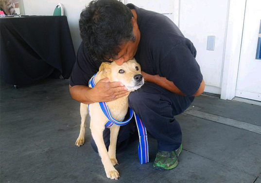 Downtown Dog Rescue – Los Angeles Dog Rescue