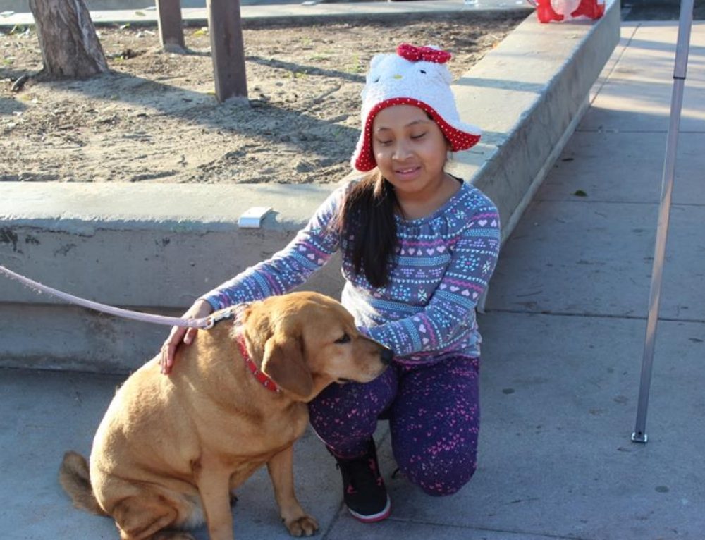 Southern California Veterinary Medical Association supports Free Dog