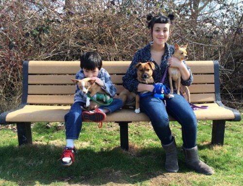 A great article on financial problems and pets