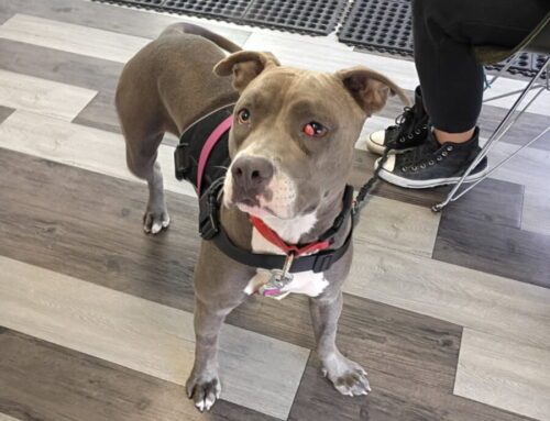 From the Streets to Our Clinic: Stories of Healing and Hope