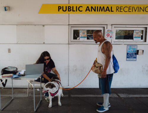 What Two Years of Social Work at the South Los Angeles Shelter Has Made Possible
